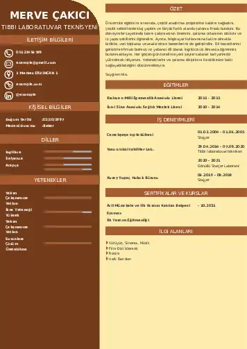 Laboratuvar Teknisyeni Cv Örnekleri cv indir